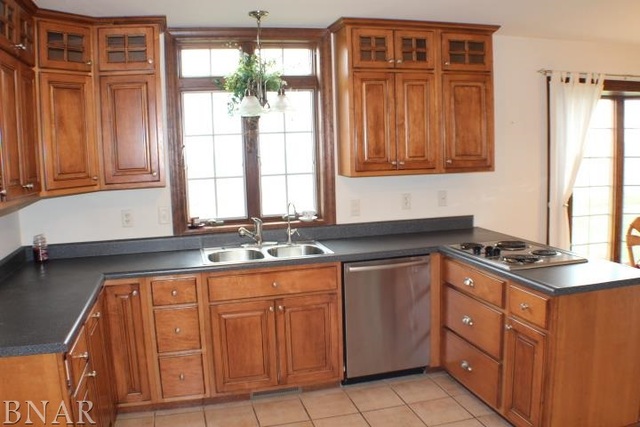 7777 Adam Road Weldon, IL 61882 - Photo 4 of 24 a kitchen with stainless steel appliances granite countertop a sink stove and cabinets
