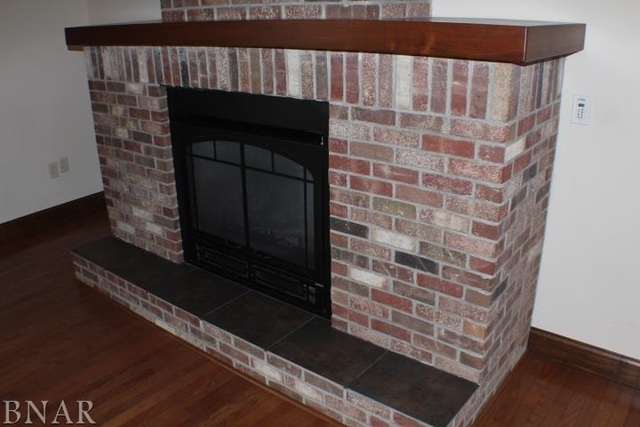 7777 Adam Road Weldon, IL 61882 - Photo 9 of 24 a living room with a fireplace
