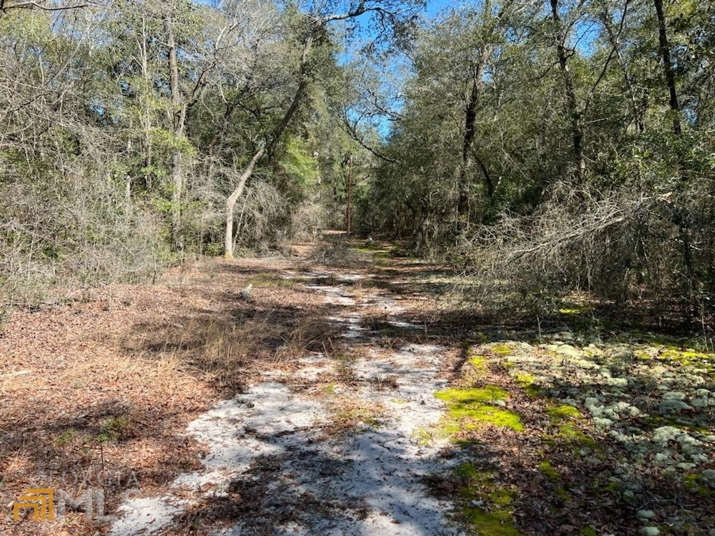 0 Gar Road Twin City, GA 30471 - Photo 1 of 1 Gallery Image 1