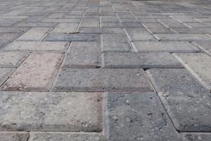 1816 Stable Lane, Unit B9 Fort Walton Beach, FL 32547 - Photo 9 of 11