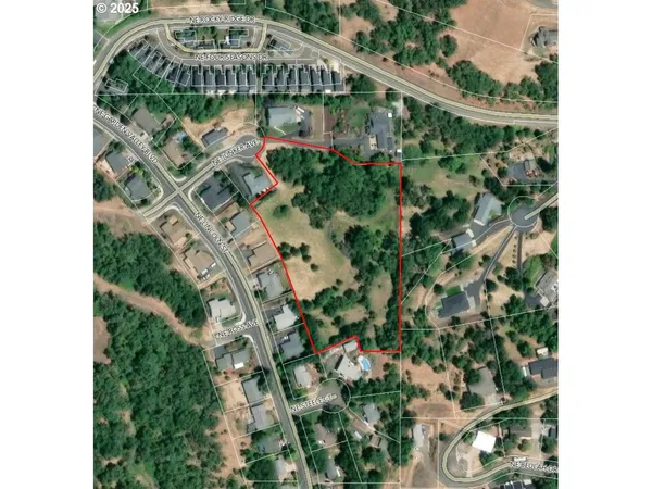 a close up of a flower in a garden