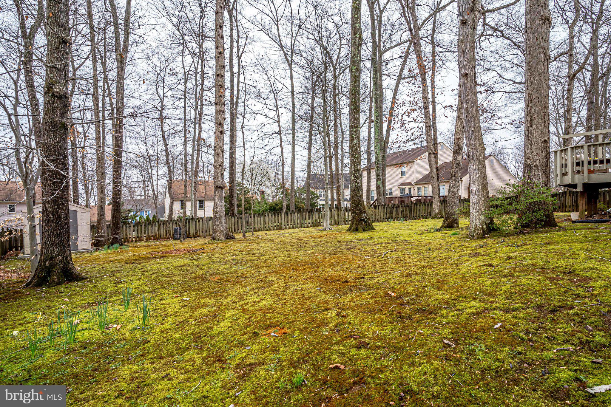 6804 Bluecurl Circle Springfield, VA 22152 - Photo 35 of 36