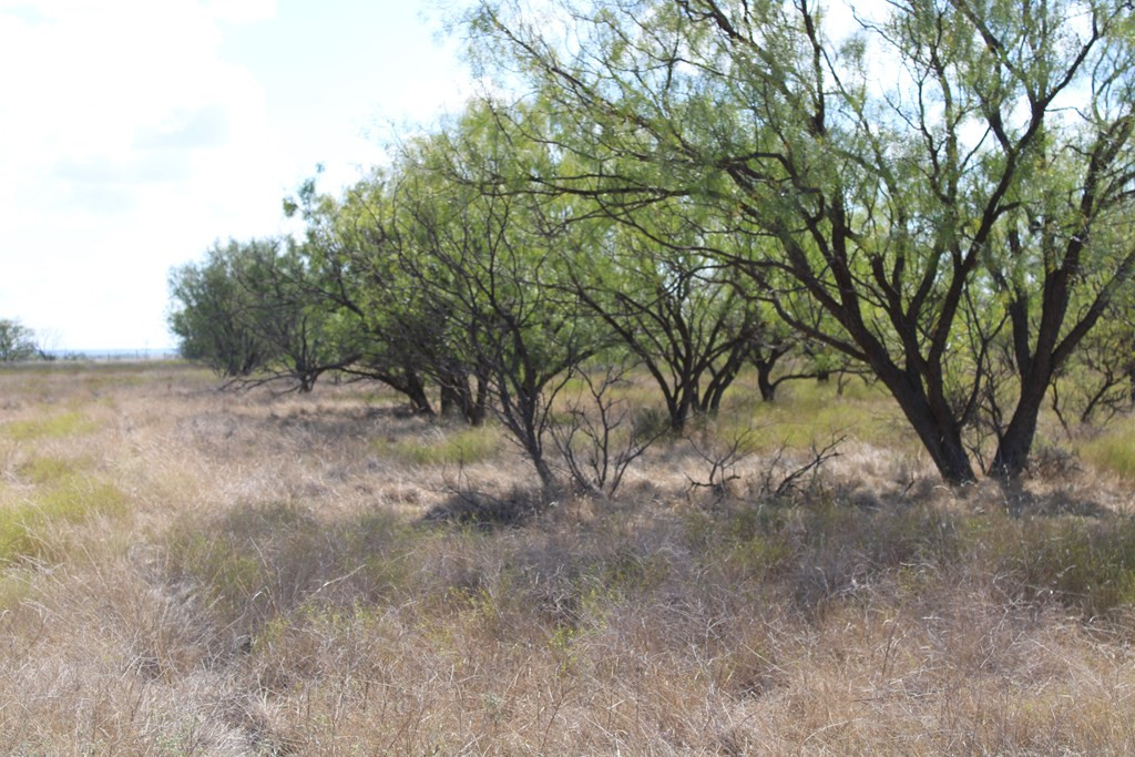 0 County Road Talpa, TX 76882 - Photo 17 of 22 Photo 17