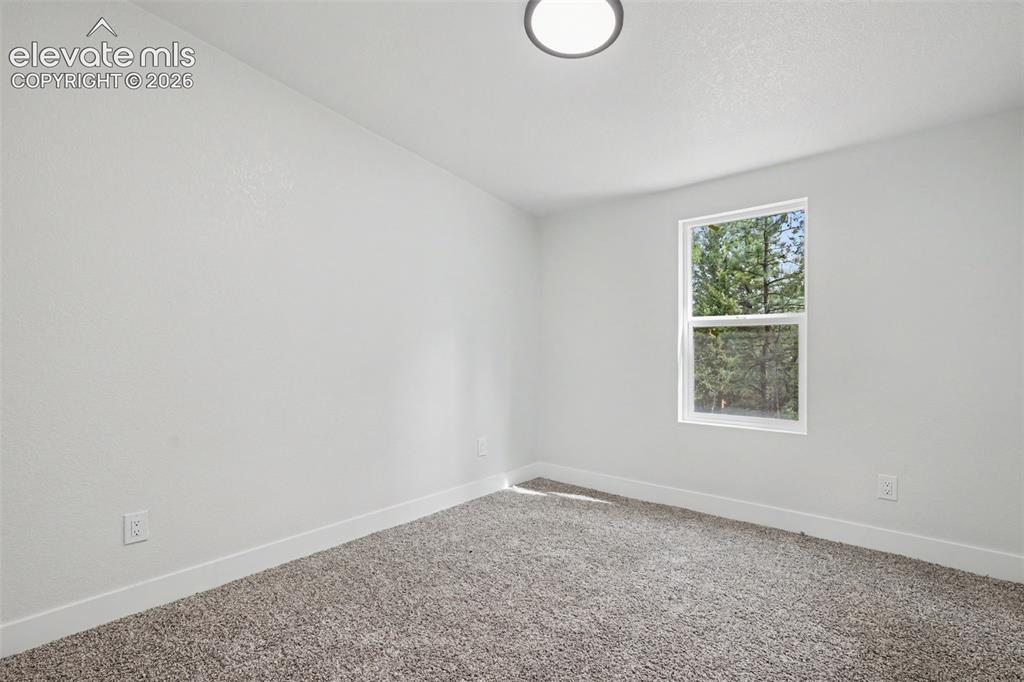 151 Banner Trail Florissant, CO 80816 - Photo 37 of 50