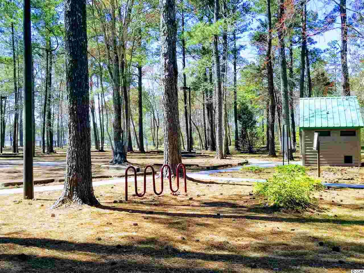 386 State Rd S-26-570 Loris, SC 29569 - Photo 29 of 30 Gallery Image 29