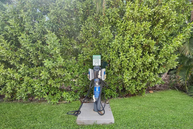 a view of a ocean with boats and trees in the background