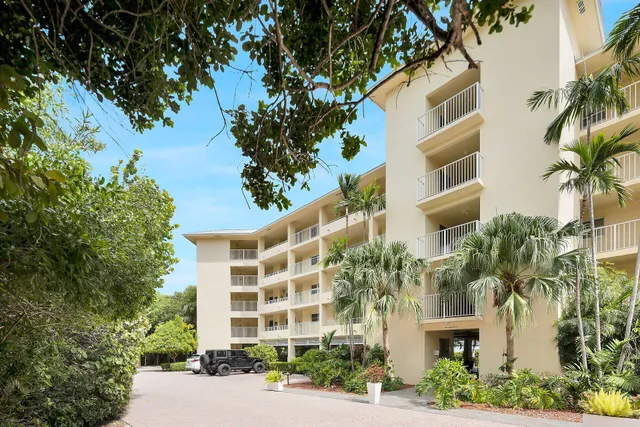 a view of a park with plants and trees