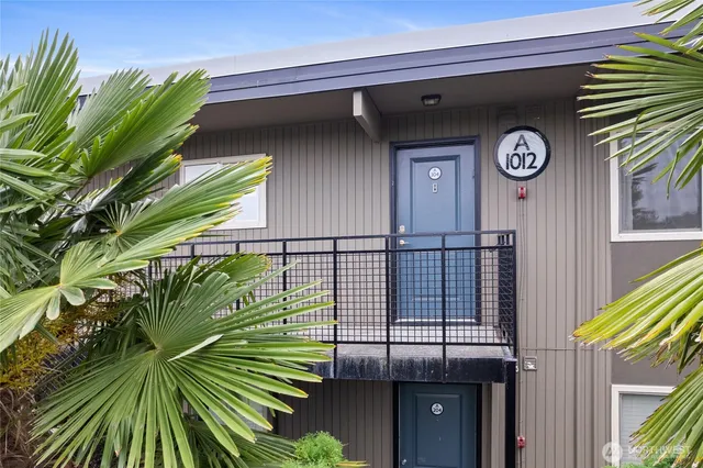 a view of a potted plant in front of a door