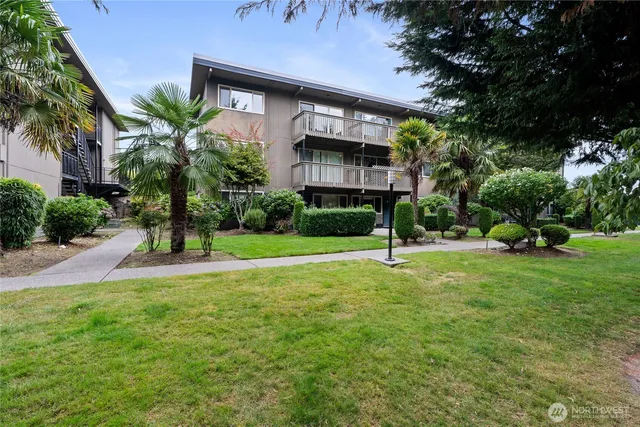 a view of a park with a large trees