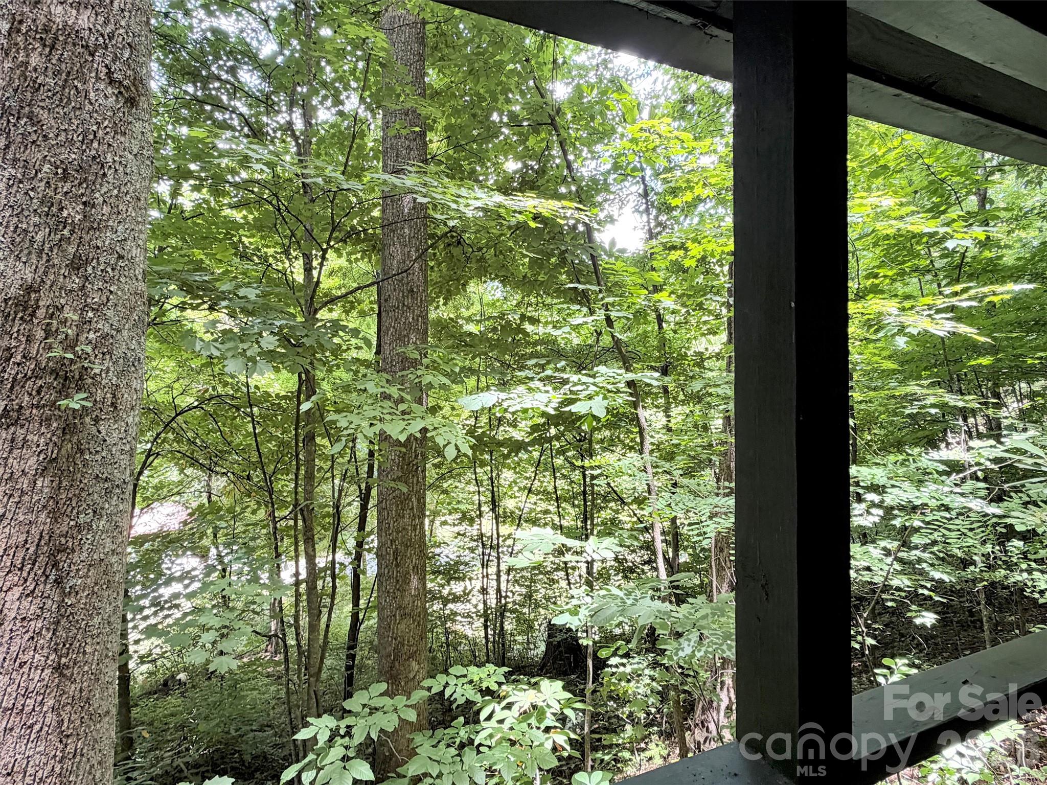 279 Rocky Top Road Maggie Valley, NC 28751 - Photo 15 of 26