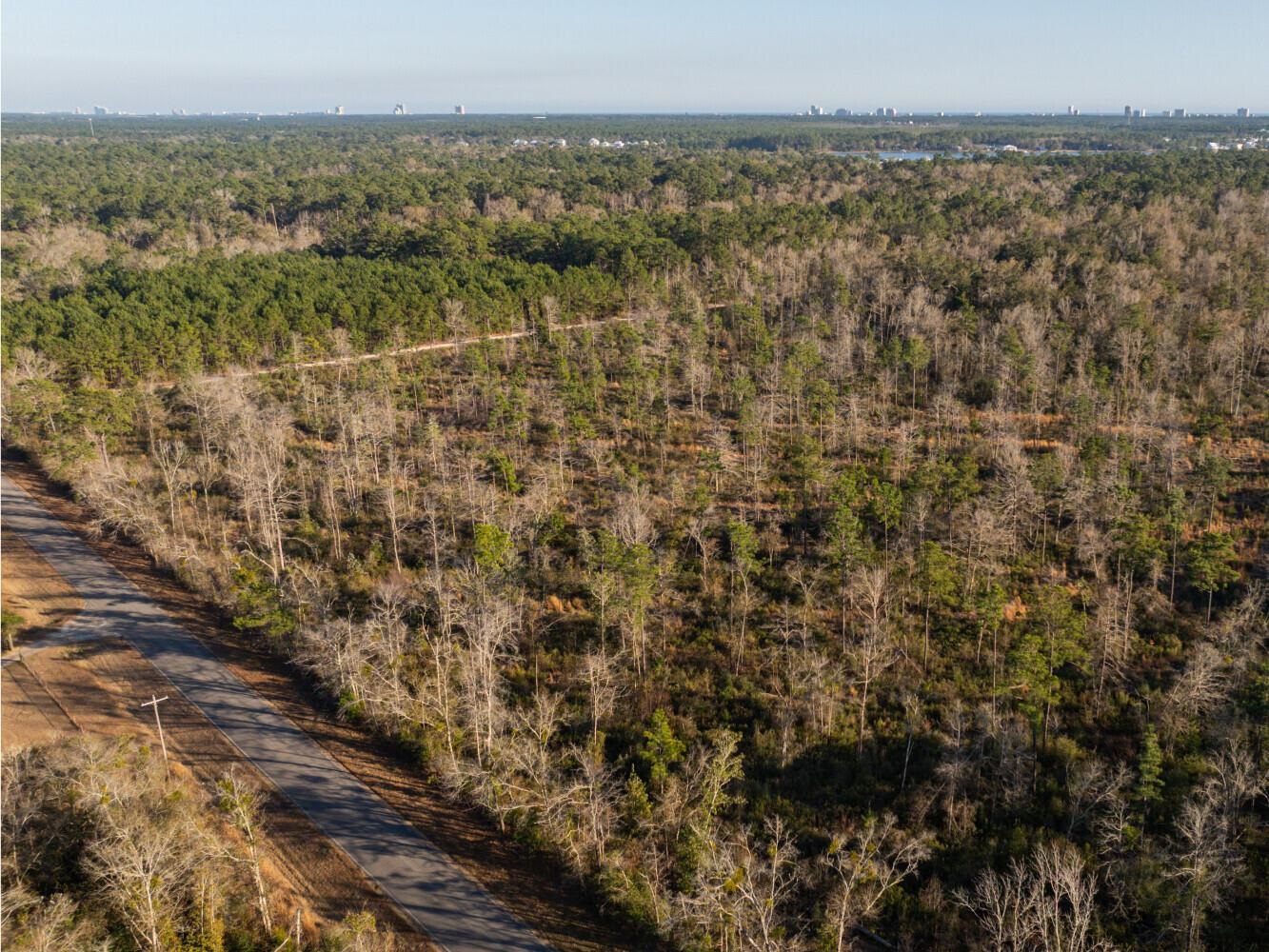 0 Kennedy Road Bon Secour, AL 36511 - Photo 22 of 25