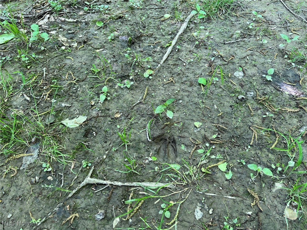 Center Road Conneaut, OH 44030 - Photo 7 of 10