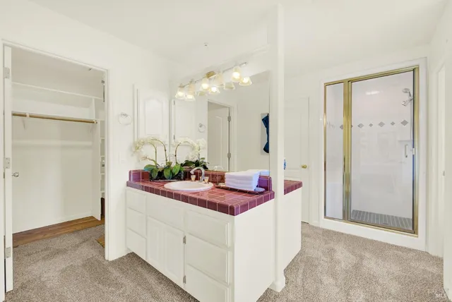 a view of a garden with plants