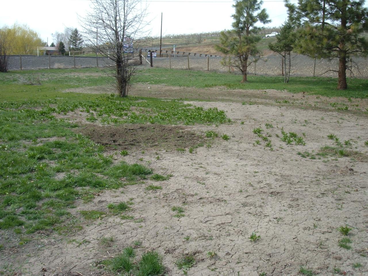 10502 Ahtanum Road Yakima, WA 98903 - Photo 7 of 7 a view of a park