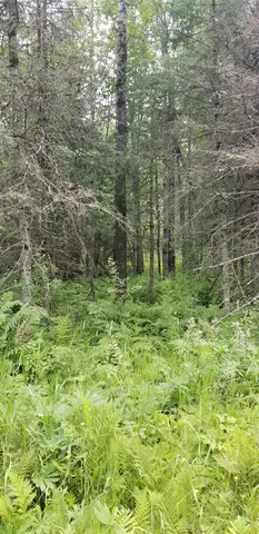 $85,000 | Xxxx East Pioneer Road, Duluth, MN 55804