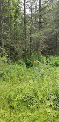 $85,000 | Xxxx East Pioneer Road, Duluth, MN 55804