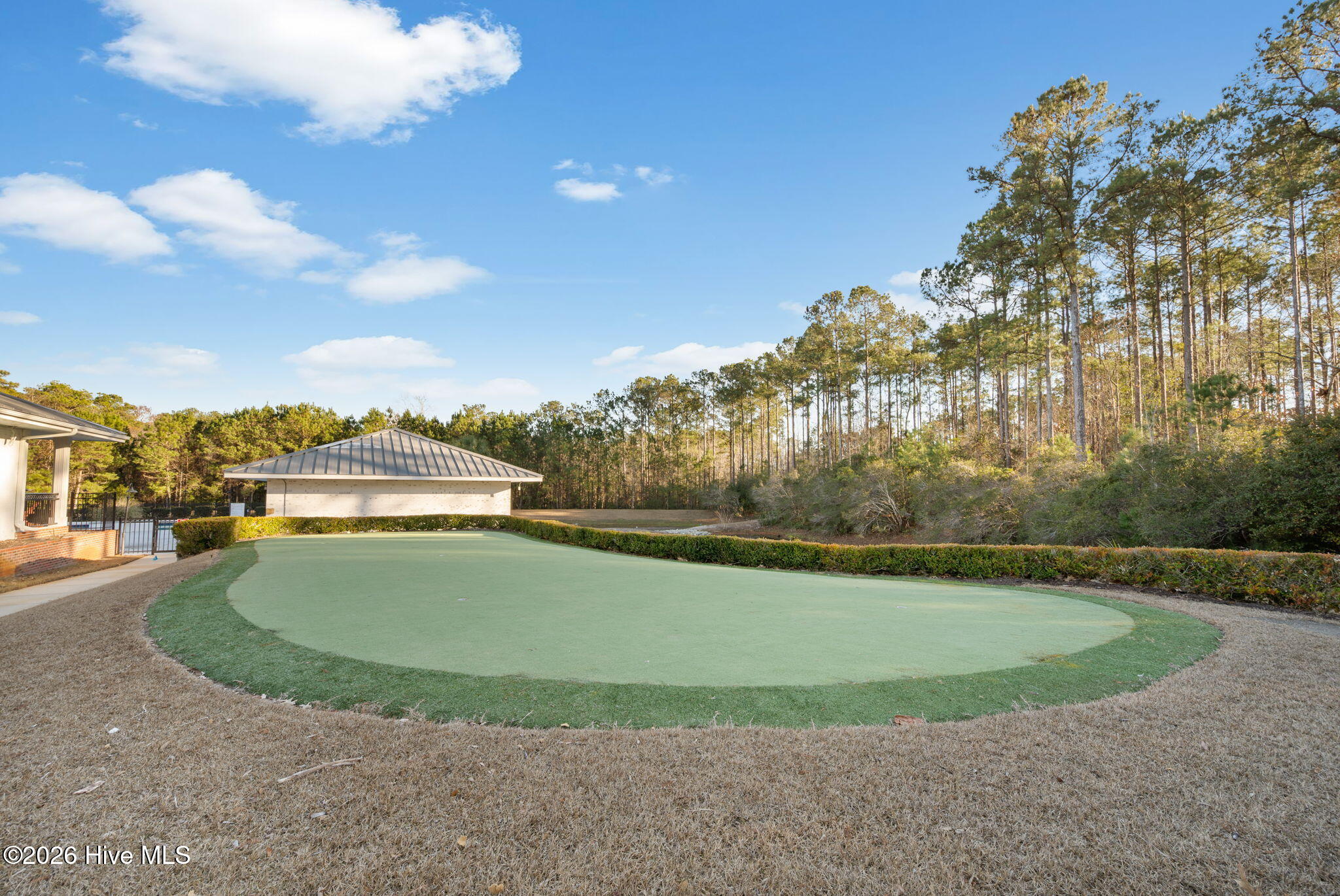 2549 Provence Drive Southeast Bolivia, NC 28422 - Photo 36 of 39 36-web-or-mls-Putting green