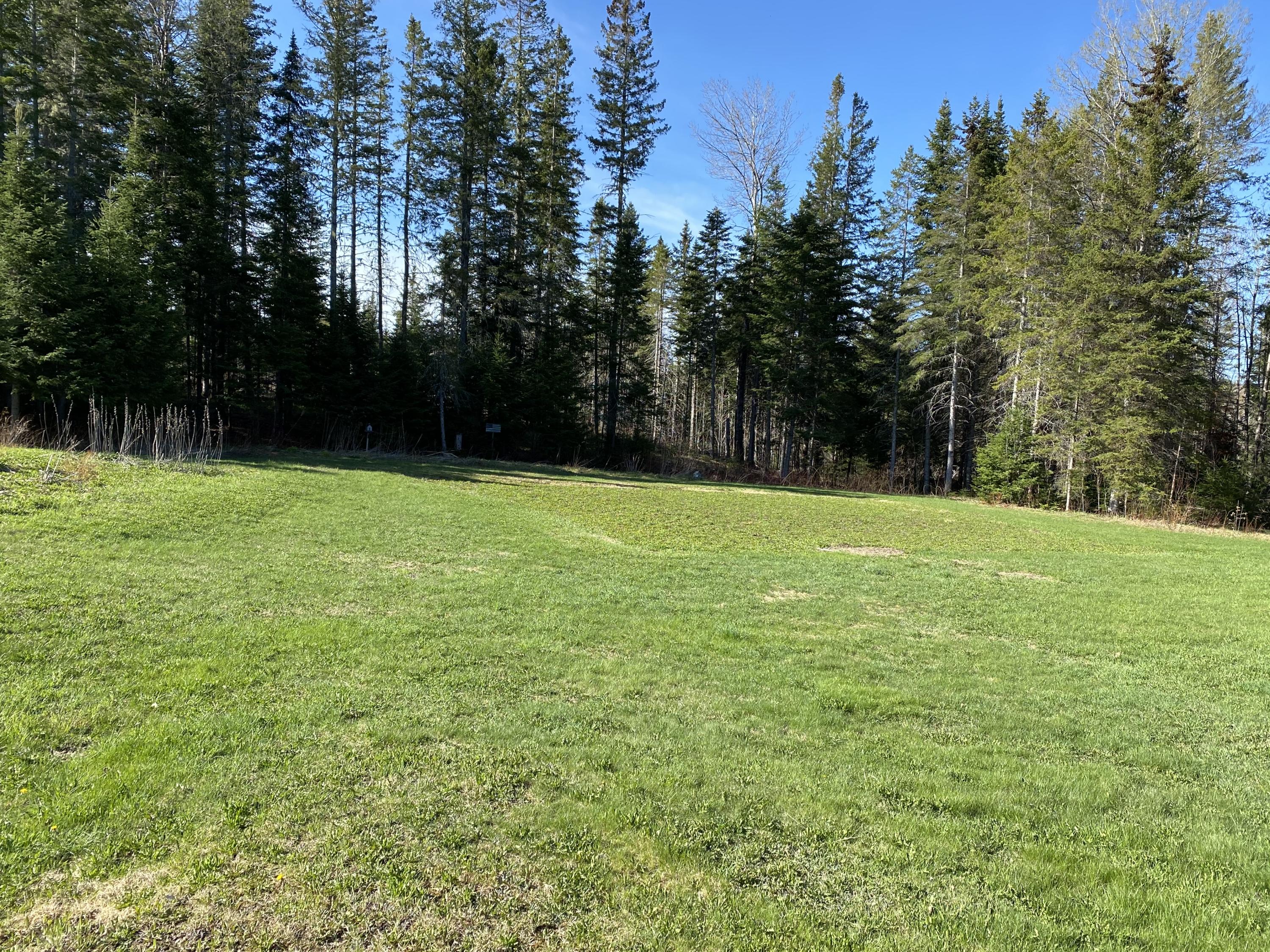 126 High Meadow Road Perham, ME 04766 - Photo 19 of 39 216 High Meadow Rd Perham Spring 2021 (1