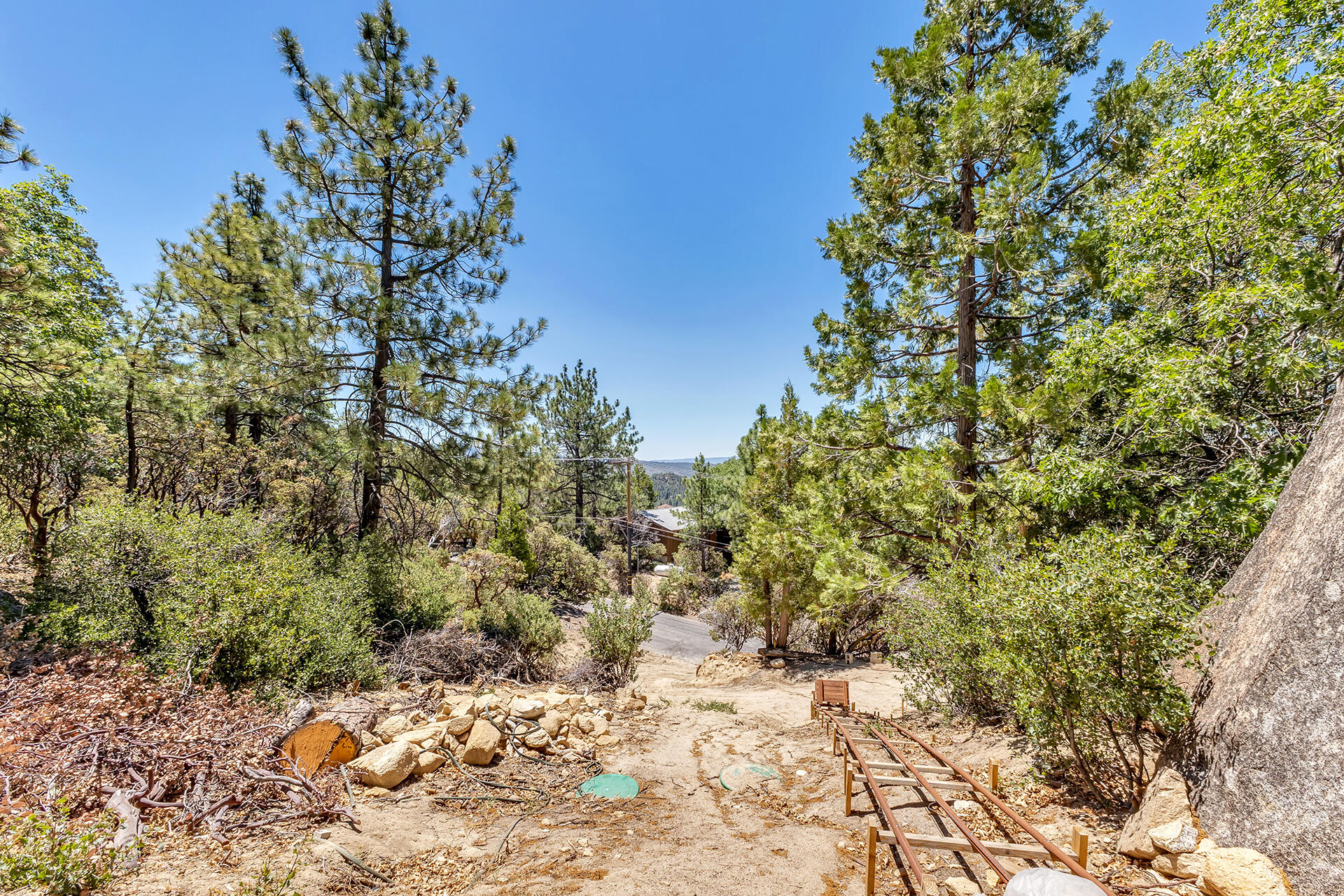 54174 North Ridge Drive Idyllwild, CA 92549 - Photo 14 of 33 a view of a yard with plants and tree