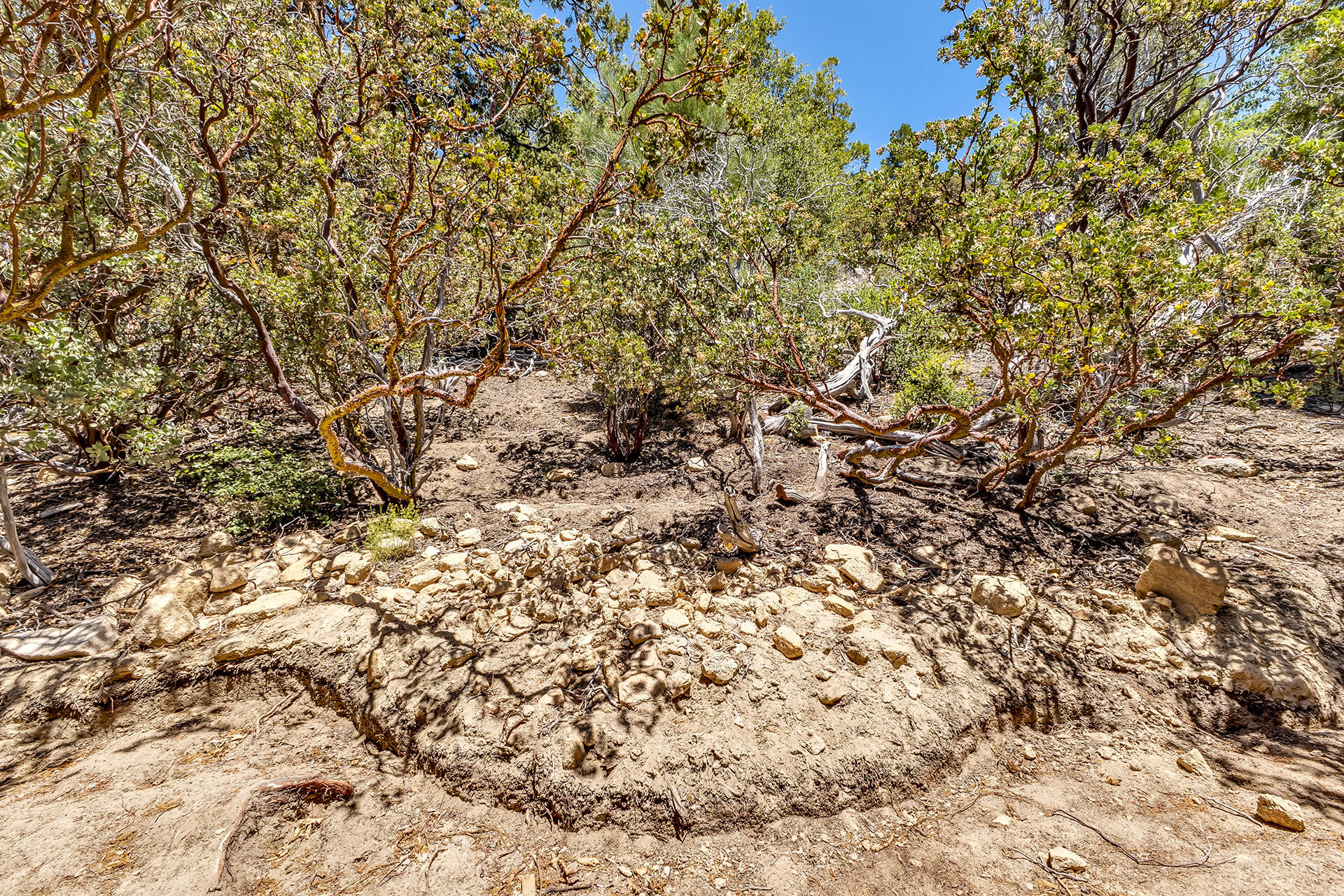 54174 North Ridge Drive Idyllwild, CA 92549 - Photo 29 of 33 a view of a yard