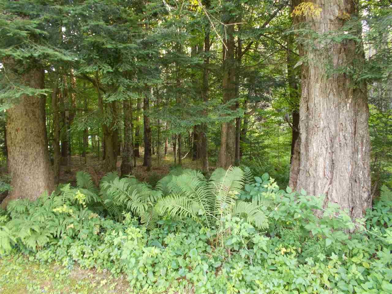 42 Thrasher Road Plainfield, NH 03781 - Photo 22 of 31