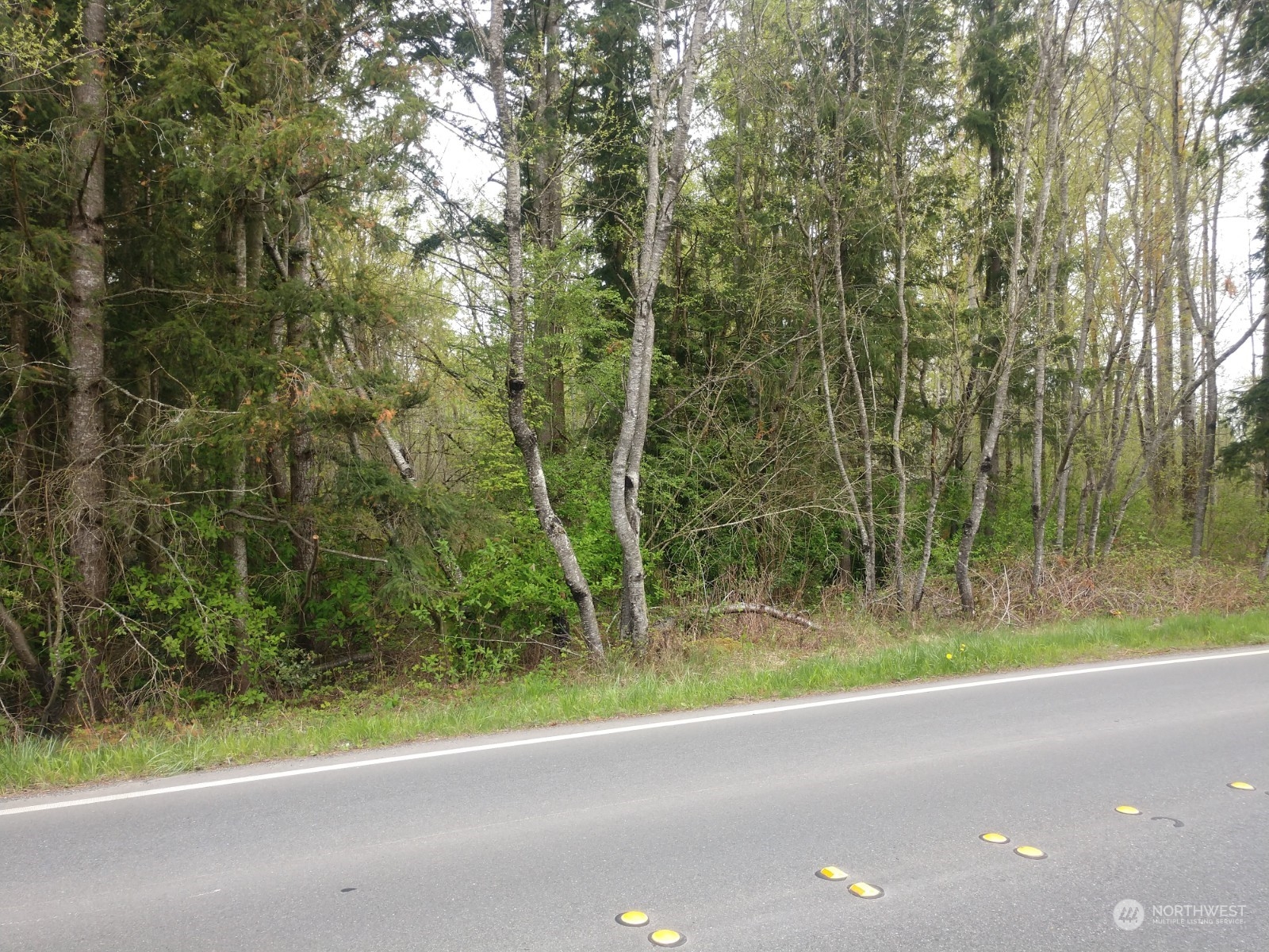 4259 Aldrich Road Bellingham, WA 98226 - Photo 1 of 9 Gallery Image 1