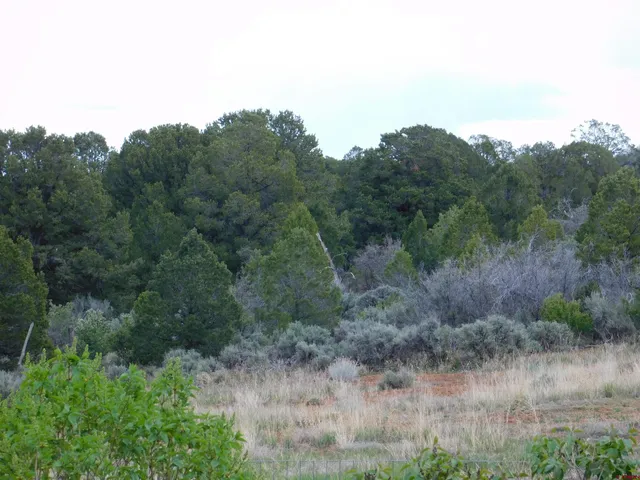 a view of a dry field