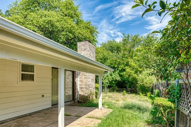 a view of a backyard with plants