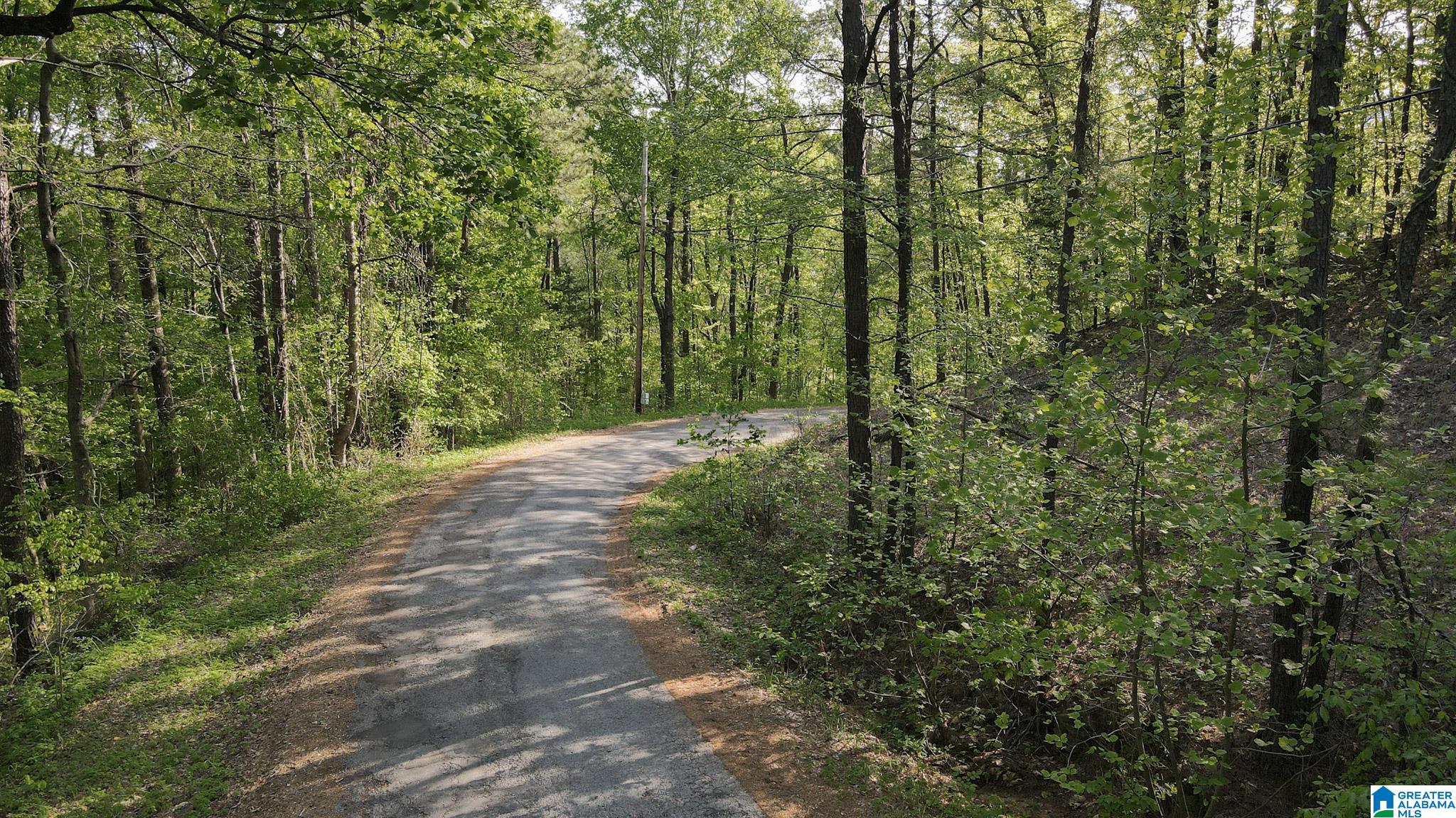 0 Country Road, Unit 818 819 821 Warrior, AL 35180 - Photo 4 of 8