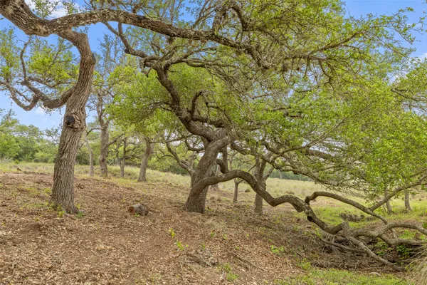 $1,125,000 | 4112 Schumann Road, Stonewall, TX 78671