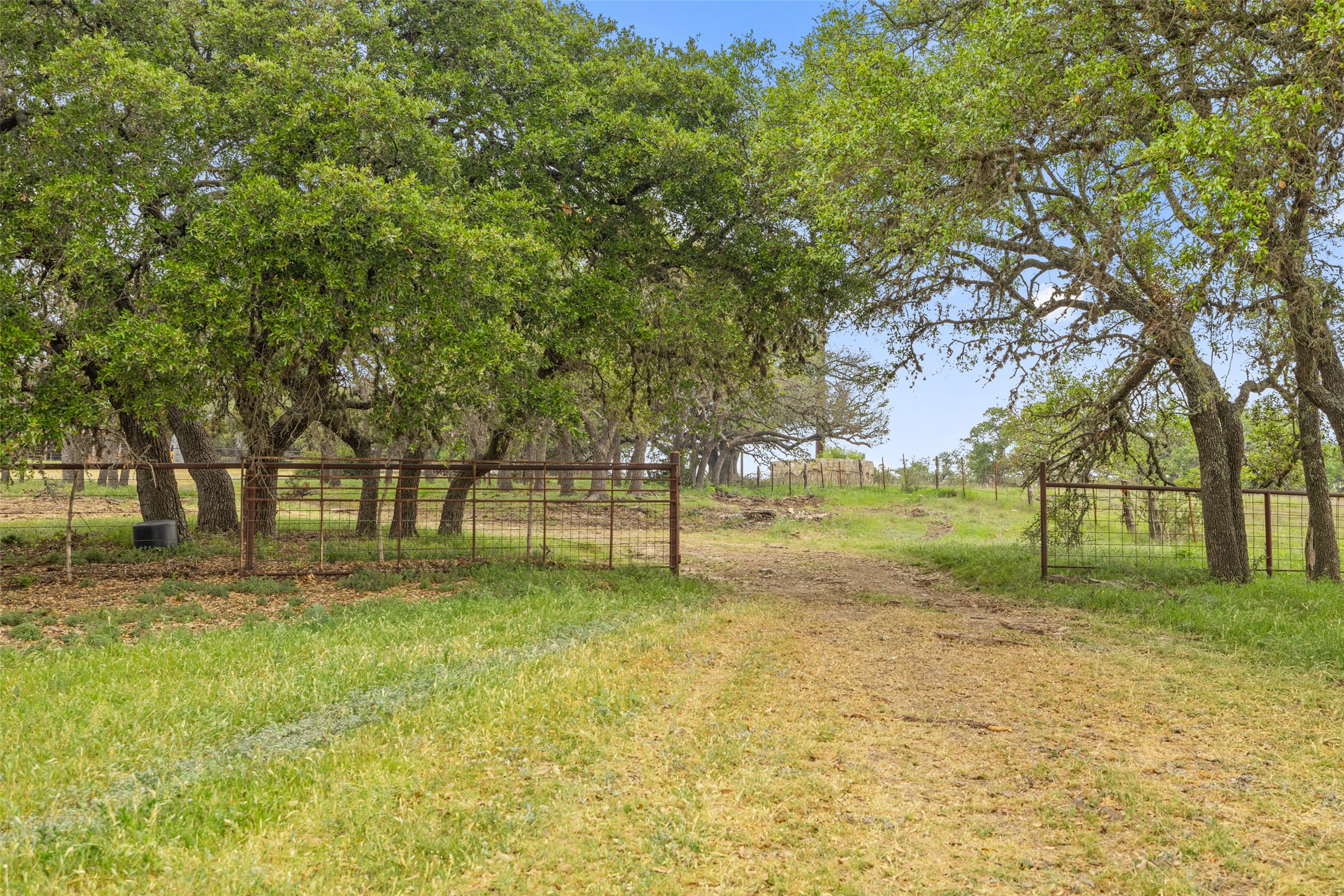 4112 Schumann Road Stonewall, TX 78671 - Photo 5 of 9