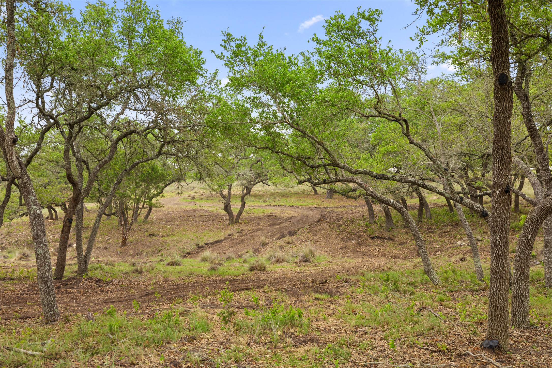 4112 Schumann Road Stonewall, TX 78671 - Photo 7 of 9