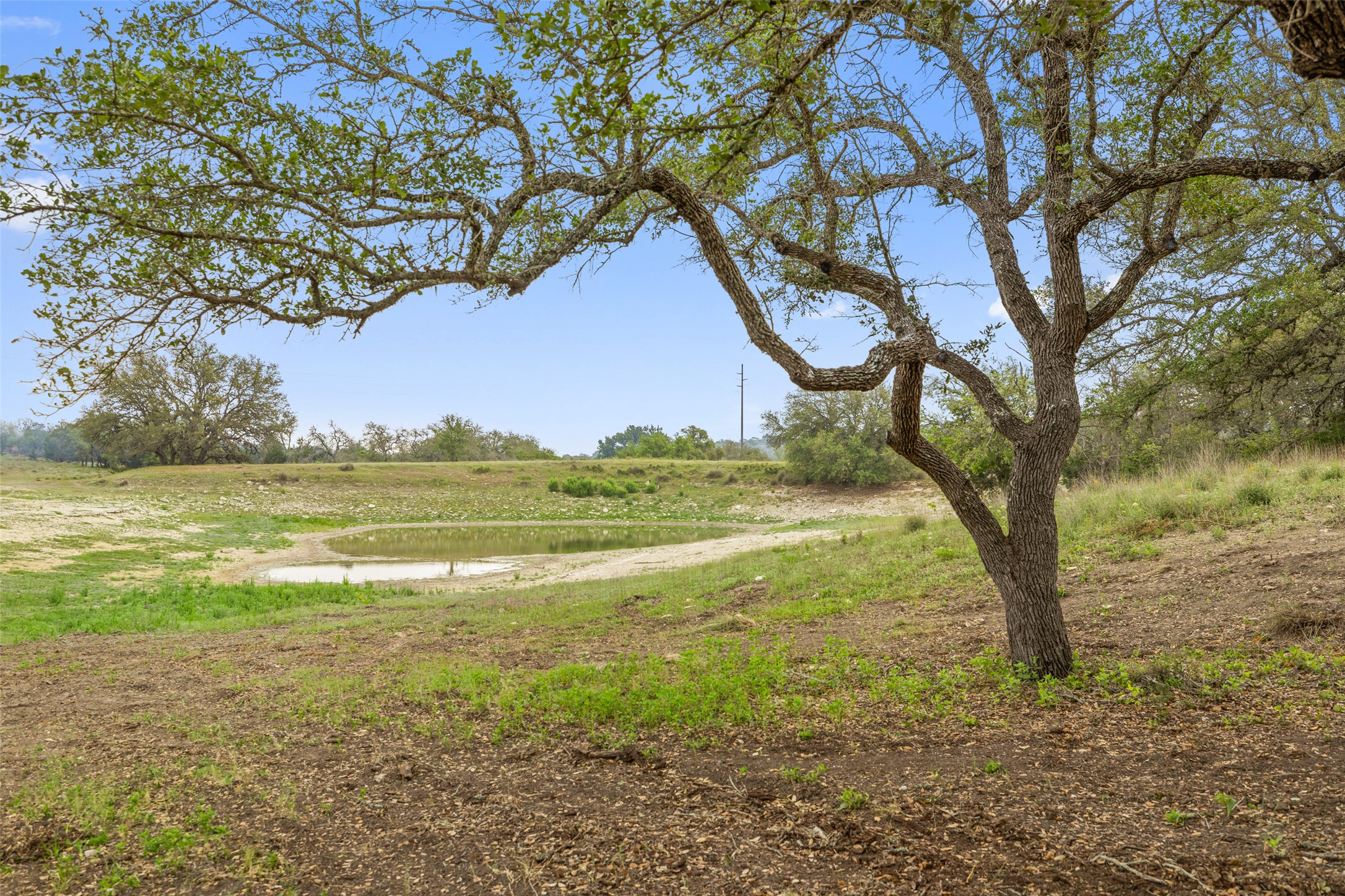 4112 Schumann Road Stonewall, TX 78671 - Photo 9 of 9