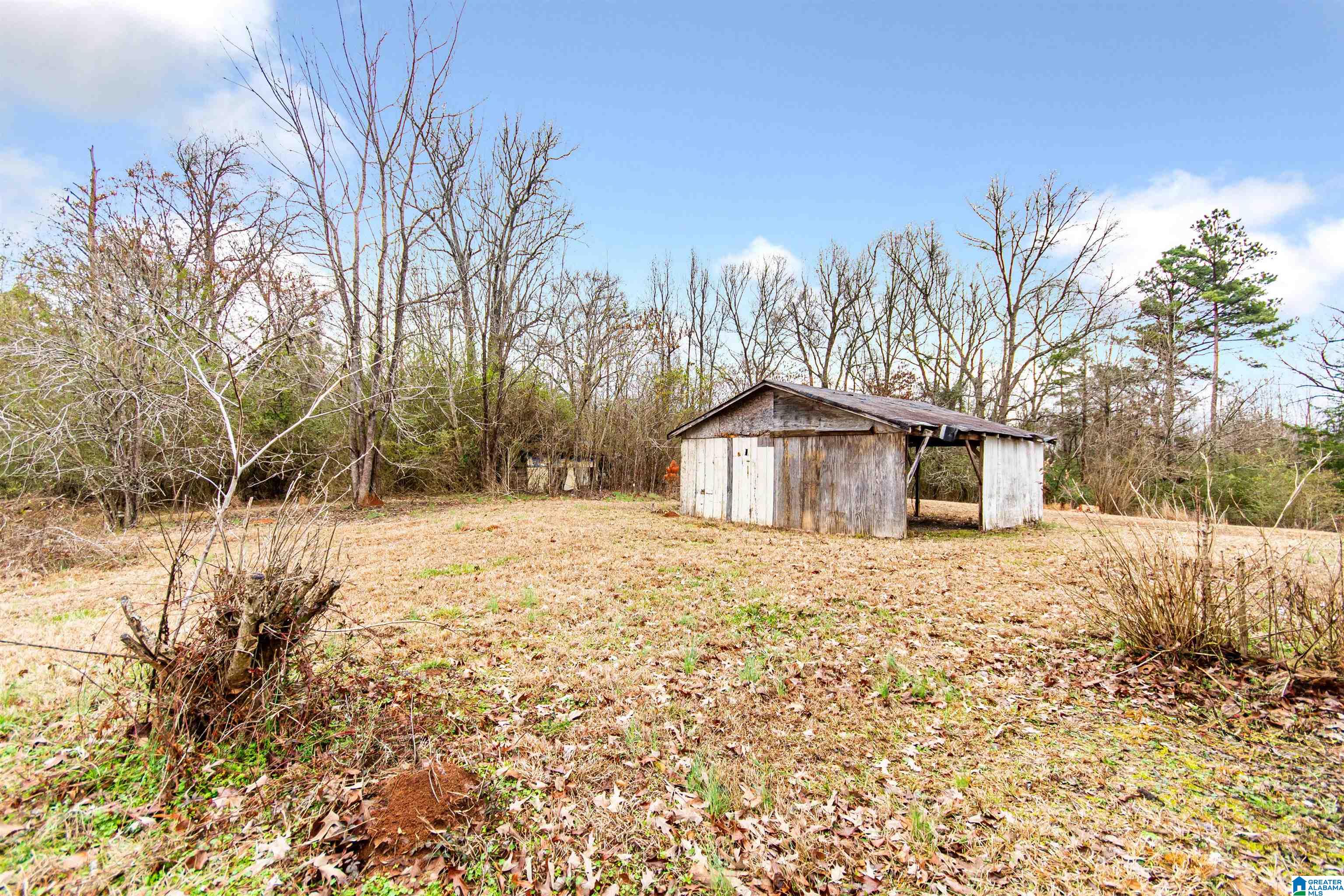 1482 Old Kellyton Road Alexander City, AL 35010 - Photo 4 of 28
