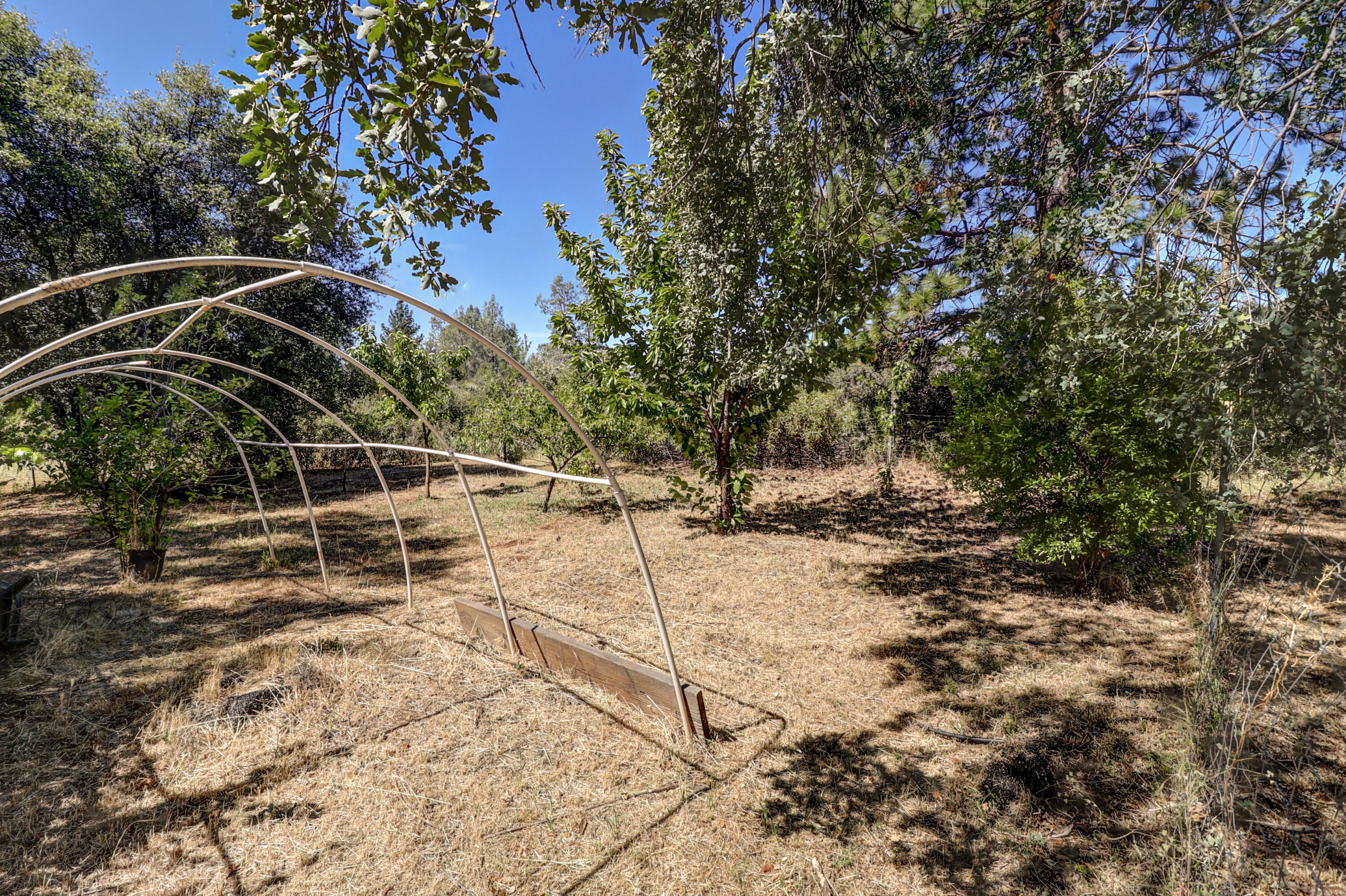 5094 Wilson Hill Road Manton, CA 96059 - Photo 28 of 35 BACK OF HOUSE PROPERTY