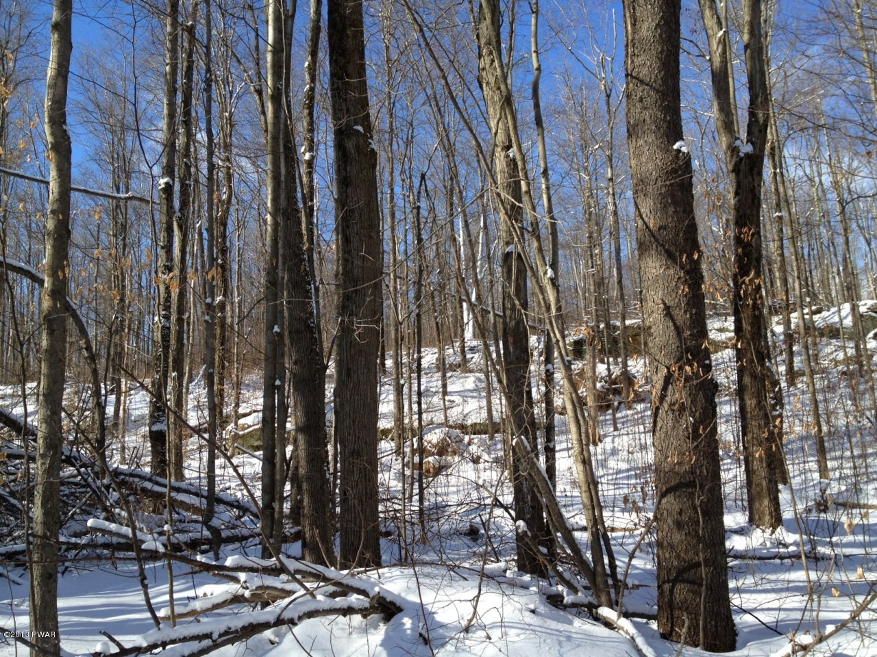 Long Pond Road Prompton, PA 18456 - Photo 1 of 2
