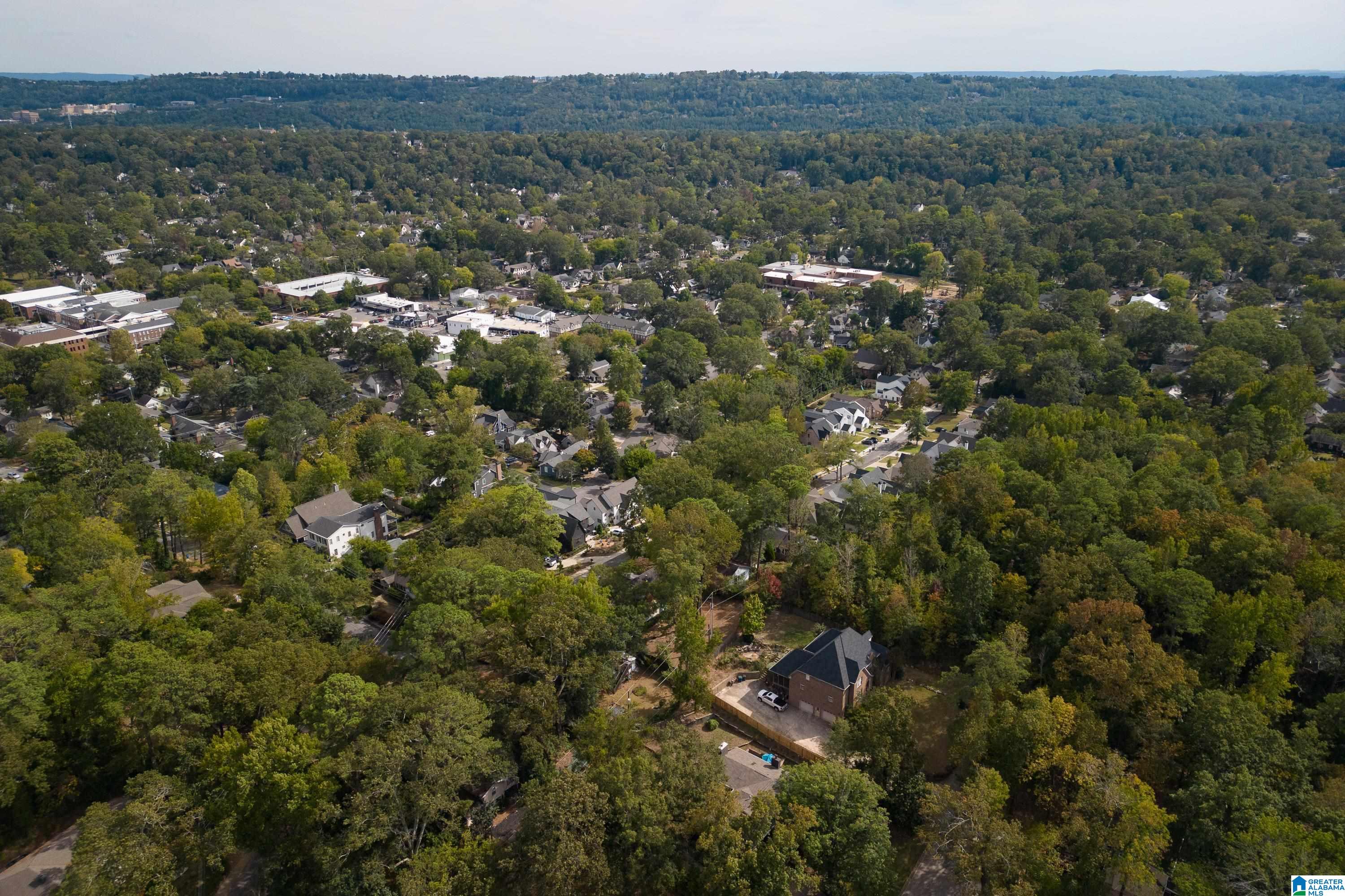 331 Edgeview Avenue Birmingham, AL 35209 - Photo 47 of 52