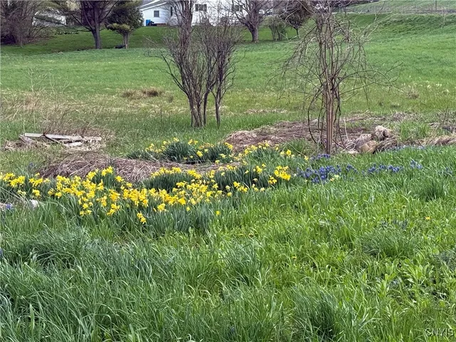 $105,000 | 11082 Highway 26, Denmark, NY 13619