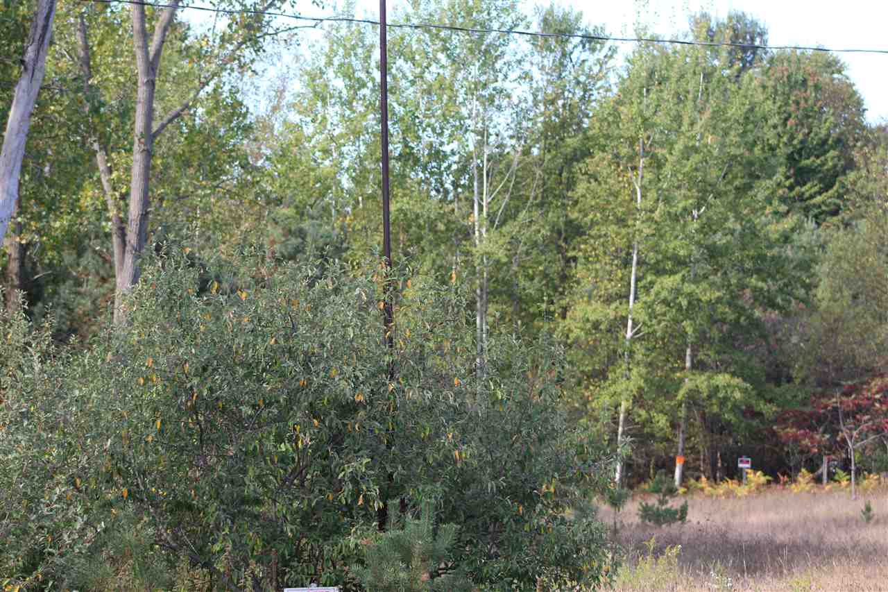 1888 South Chippewa Road Mount Pleasant, MI 48858 - Photo 5 of 6 1838884-4.JPG