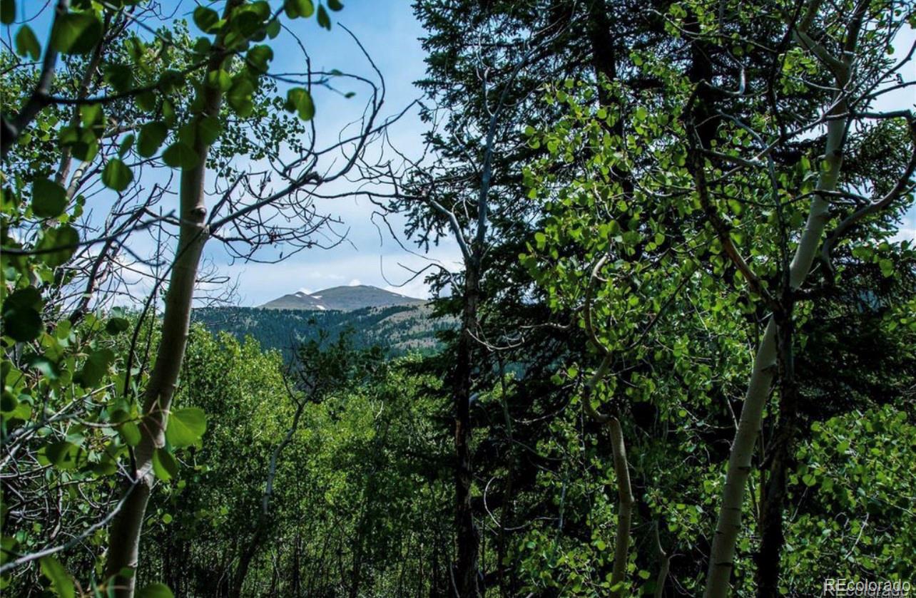 1112 Quartzville Road Alma, CO 80420 - Photo 1 of 14