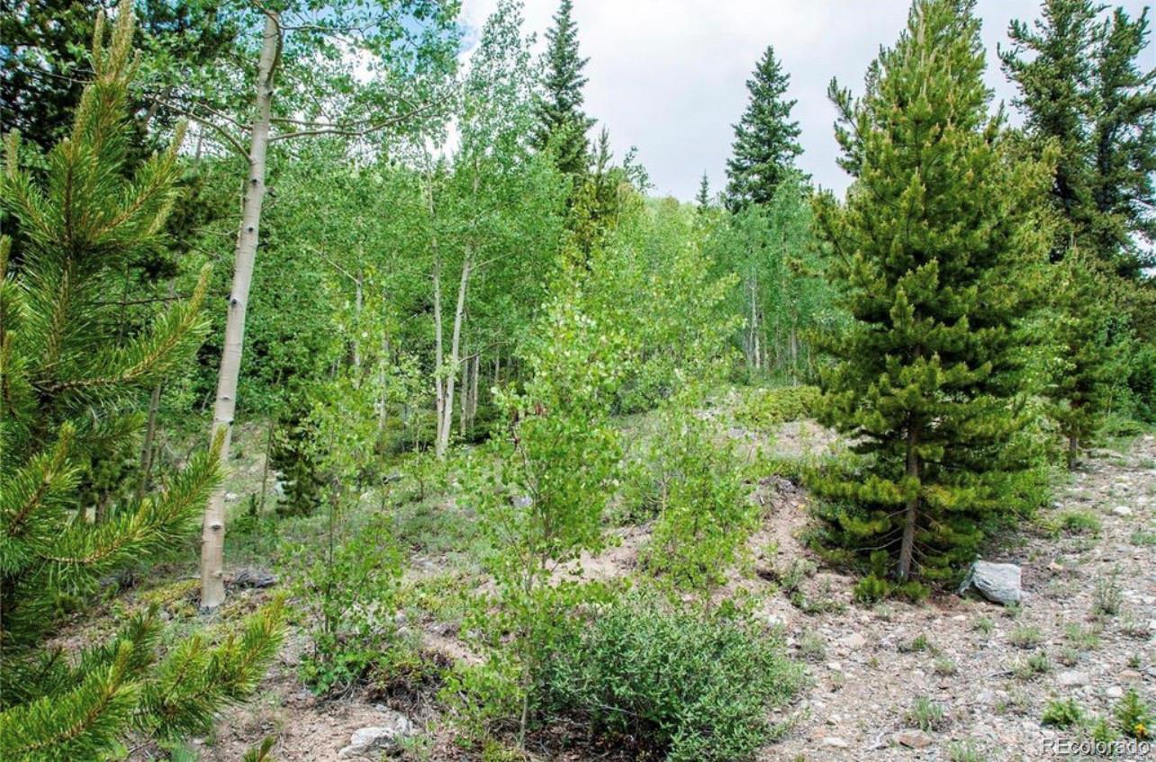 1112 Quartzville Road Alma, CO 80420 - Photo 3 of 14