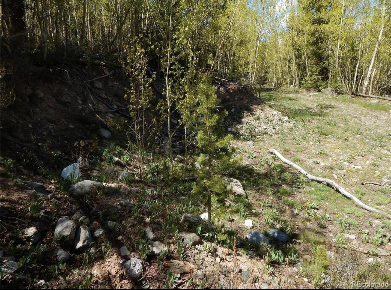 1112 Quartzville Road Alma, CO 80420 - Photo 6 of 14