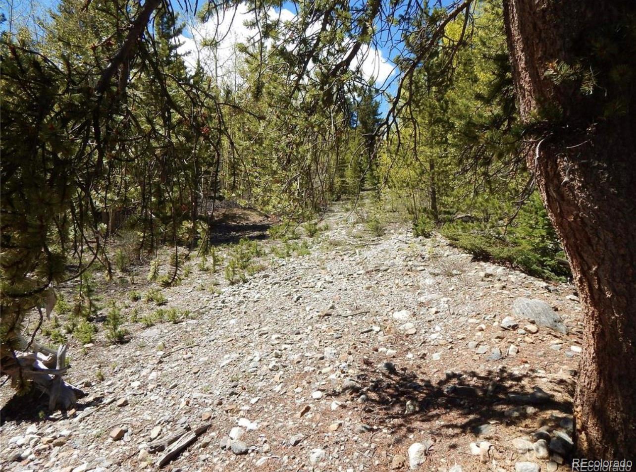 1112 Quartzville Road Alma, CO 80420 - Photo 7 of 14