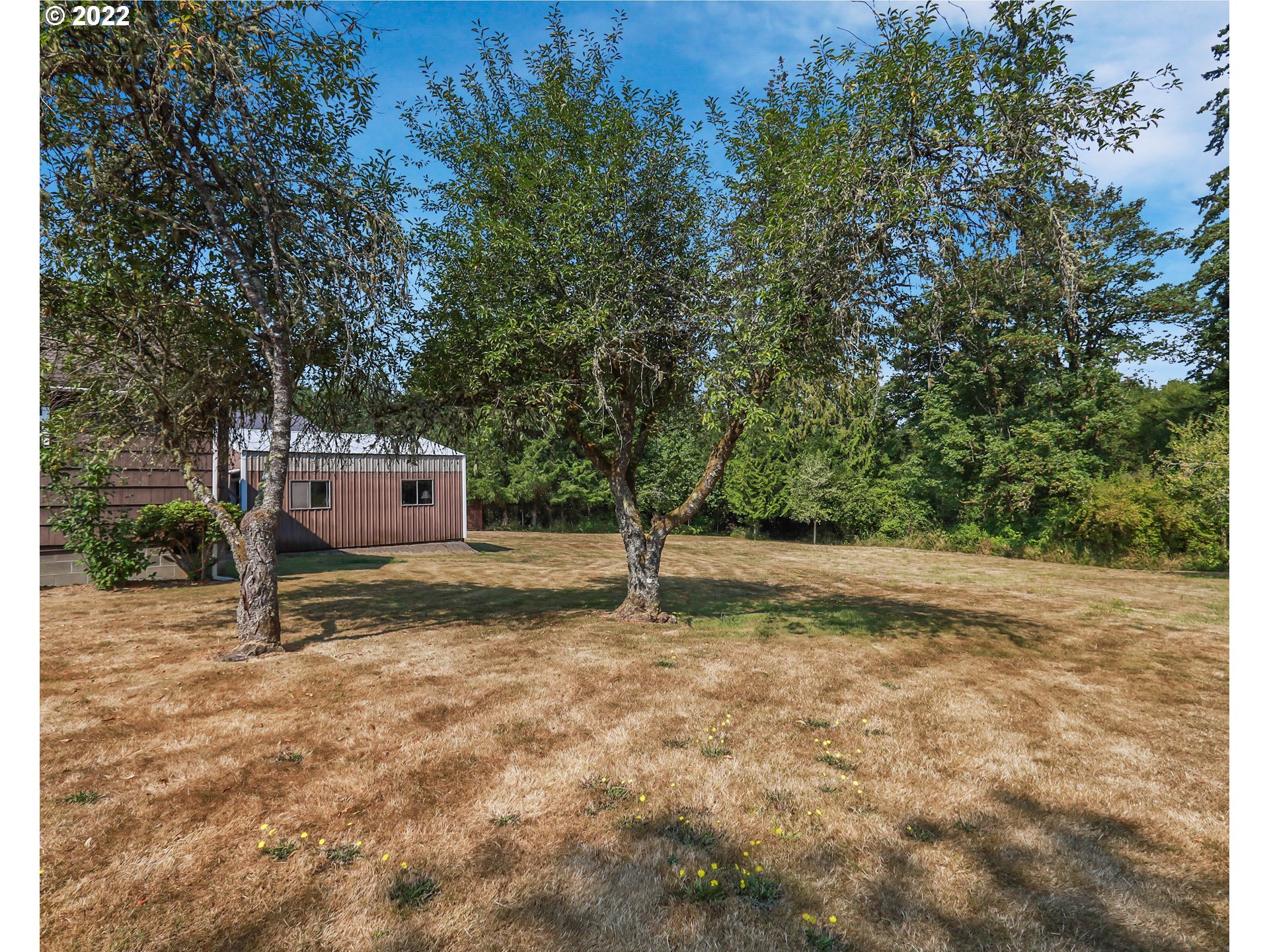 554 Quick Road Castle Rock, WA 98611 - Photo 3 of 22 Gallery Image 3