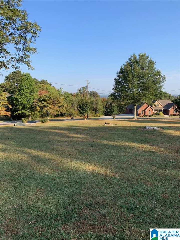 505 Overlook Road Boaz, AL 35956 - Photo 4 of 35 Gallery Image 4