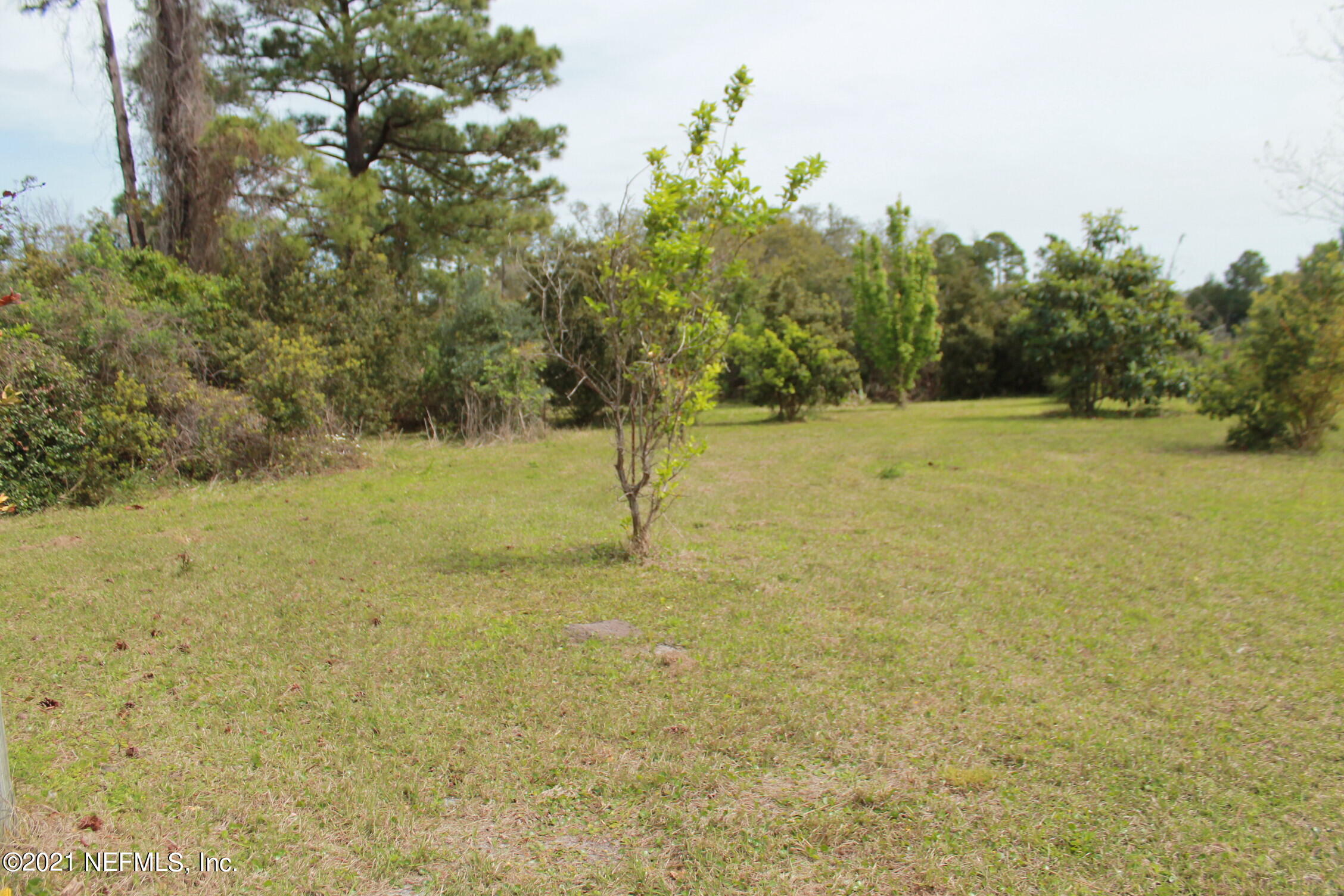 16006 Shellcracker Road Jacksonville, FL 32226 - Photo 37 of 41 a view of a yard with a tree