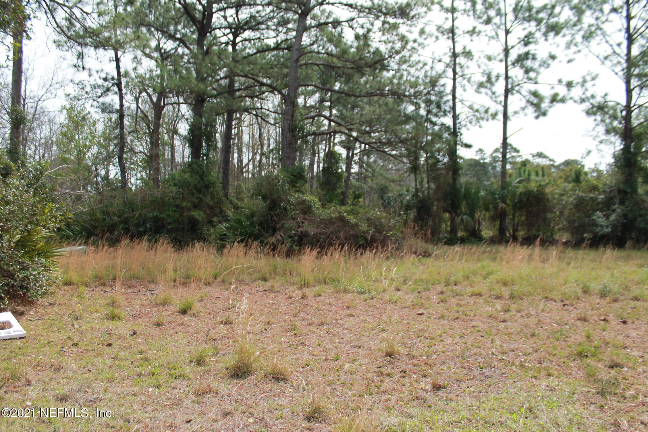 16006 Shellcracker Road Jacksonville, FL 32226 - Photo 40 of 41 a view of lake with green space