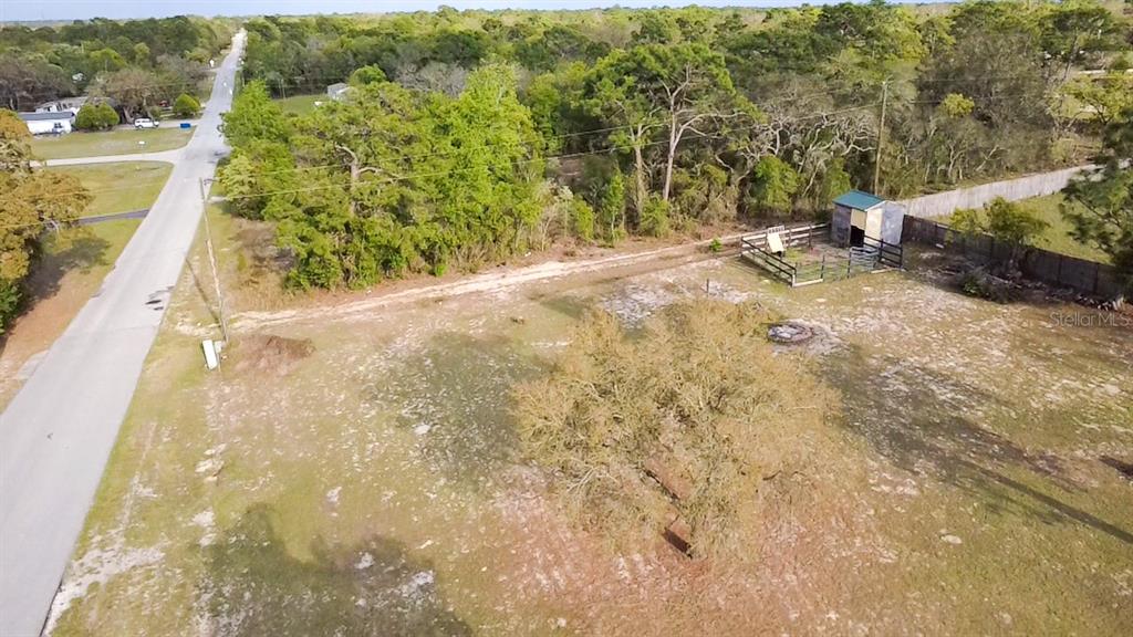 18406 Sand Pine Drive Spring Hill, FL 34610 - Photo 8 of 34