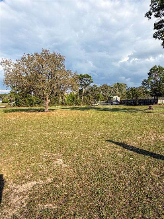 18406 Sand Pine Drive Spring Hill, FL 34610 - Photo 9 of 34