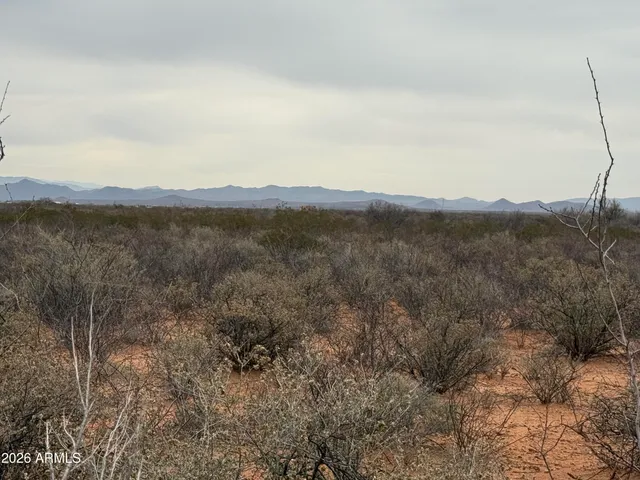 a view of a mountain